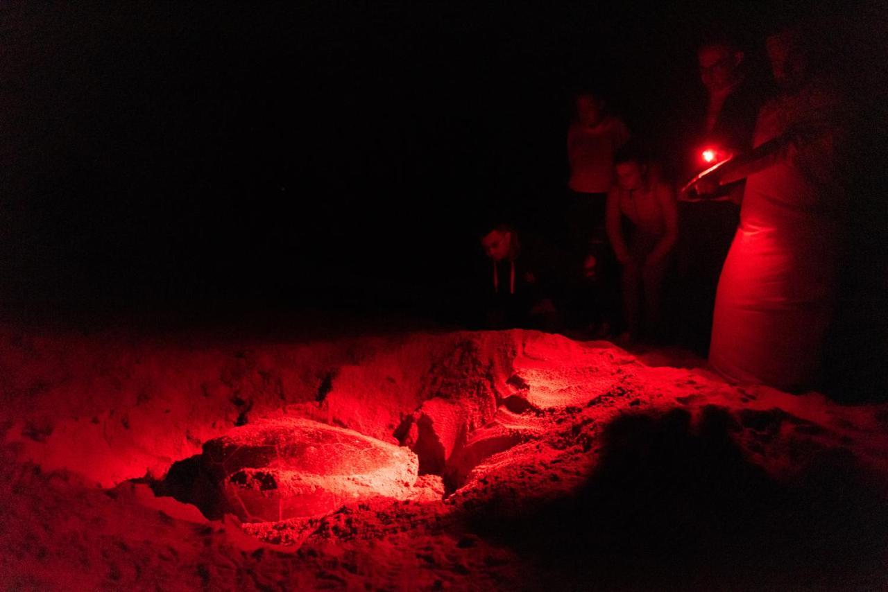Ras Al Jinz Turtle Reserve Hotel 3*